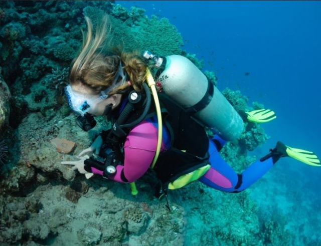 Underwater adventure in Toulon with Toulon Plongee 